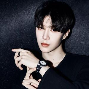 你是我的一首情歌