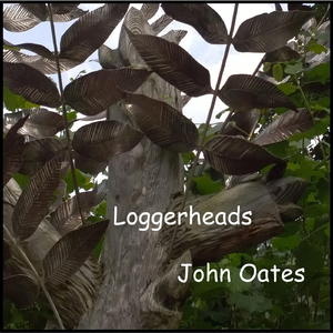 Loggerheads
