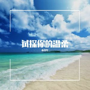 试探你的温柔