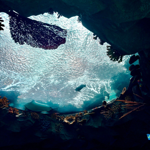 独家限定浪漫.wav