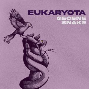 Jumanji (feat. Snake)