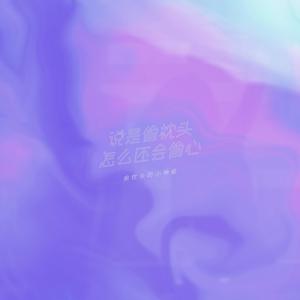 偷枕头的小神偷（inst.）