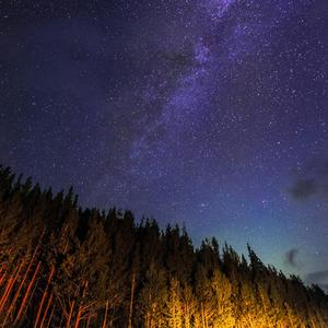 Mobb Deep-Survival of the Fittest（Passo remix）