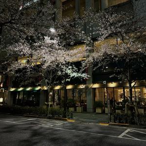 i'll wait if you wait