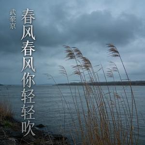 春风春风你轻轻吹