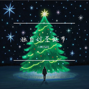 独自过圣诞节