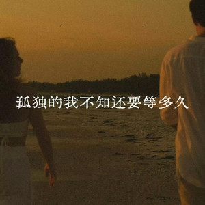 孤独的我不知还要等多久
