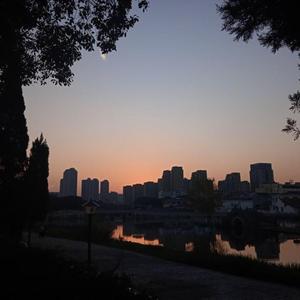 the Start（夜弦 / Tim lexicii remix）