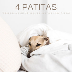 Introspección De Mascotas