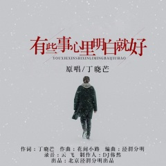 有些事心里明白就好 (DJ版)
