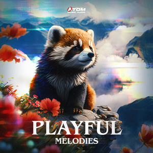 Pine Martens Adventure