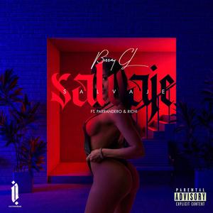 Salvaje (feat. Parrandero & R!chi)