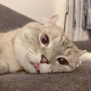 “憧憬”[Free]melody guitar beat ＆loft type