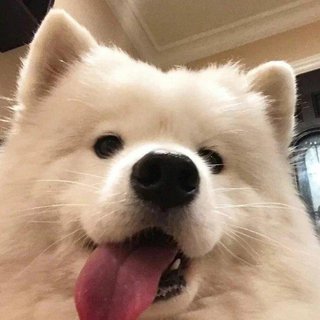 是小旭啊y的喜欢音乐