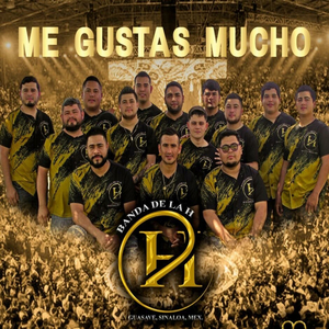 Me Gustas Mucho (En vivo)