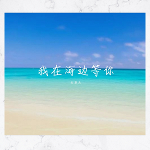 我在海边等你