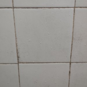 白金翡翠上单的荣耀征程