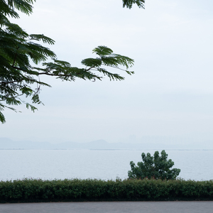 高效催眠神曲之轻音乐 (轻松轻音乐)