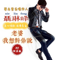 老婆我想对你说 (DJ阿卓版)