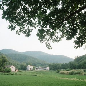 回不去的从前（混响版）