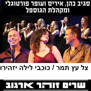 צל עץ תמר/כוכבי לילה יזהירו