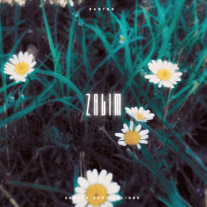 Zalim (Slowed Version)