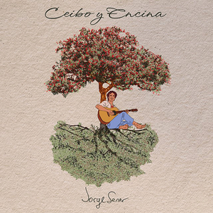 Cuando miro mi país