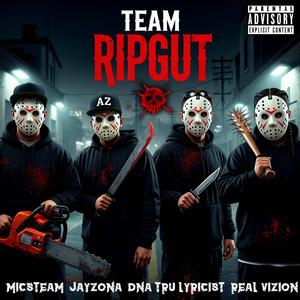 TEAM RIPGUT (feat. MICSTEAM, REAL VIZION, JAYZONA & DNA TRU LYRICIST)