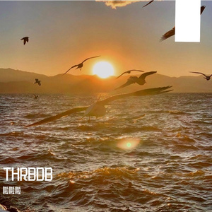 梧桐叶与成长的回答