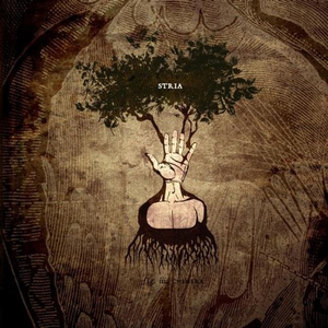 Famous X (Following the Kill)