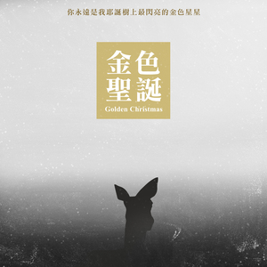 Santa Claus is coming to town 圣诞老公公