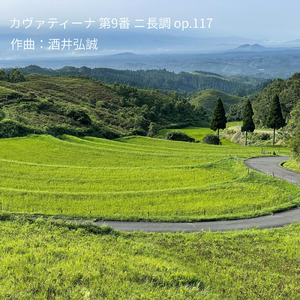 カヴァティーナ 第９番