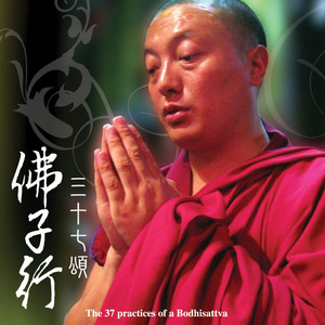 佛子行三十七颂