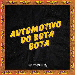 AUTOMOTIVO DO BOTA BOTA