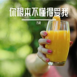 你根本不懂得爱我 伴奏