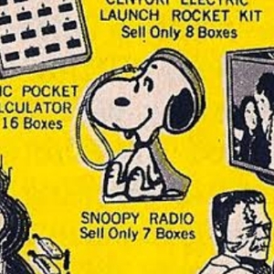 Valley of the Saroos (Joe Meek Cover)