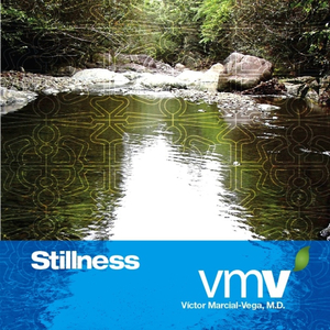 Stillness (Spanish Version)