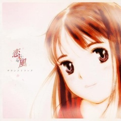 枯葉の帰り道 (枯叶的归途)