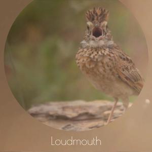 Loudmouth