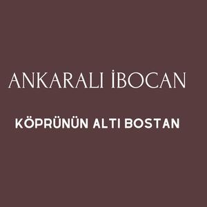 Köprünün Altı Bostan