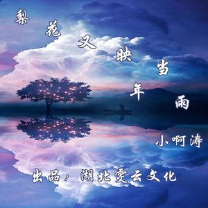 梨花又映当年雨