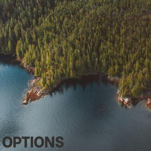 Options