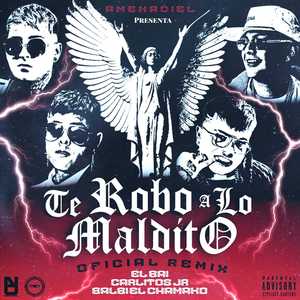 Te Robo a Lo Maldito (Remix)