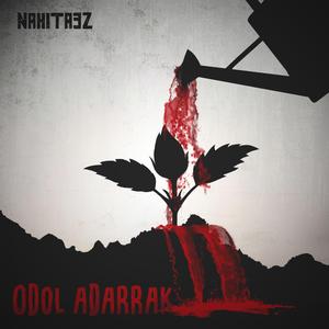 Odol adarrak