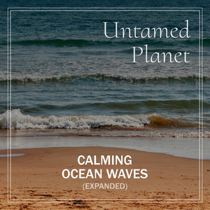 Ocean Waves and Wildlife