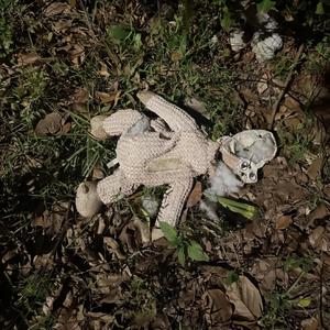 What I Wanted And More