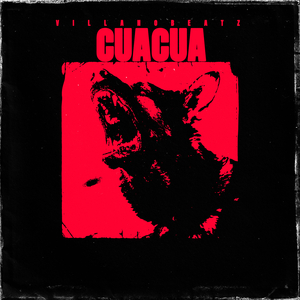 Cuacua