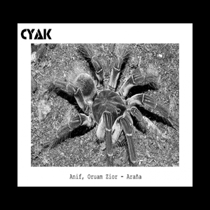 Viuda (Original Mix)