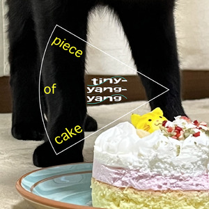 ピースオブケイク