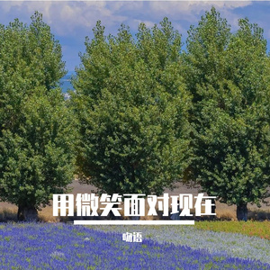 用微笑面对现在